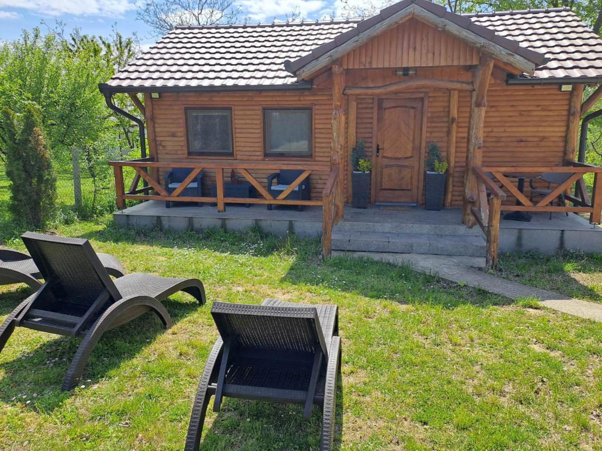 Brvnara Aurora Vista Βίλα Velika Remeta Εξωτερικό φωτογραφία
